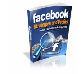 Facebook Strategies and Profits