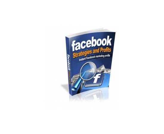 Facebook Strategies and Profits